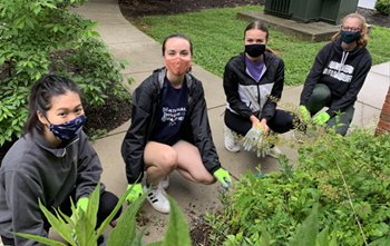 employees volunteering in a community garden